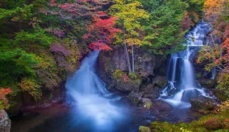 Day Tour Visit to Nikko Toshugo From Tokyo - Itinerary Highlights