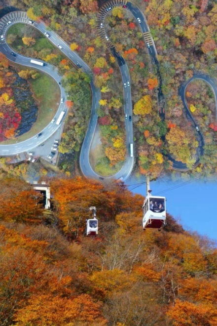 Day Tour Visit to Nikko Toshugo From Tokyo - Experience Details