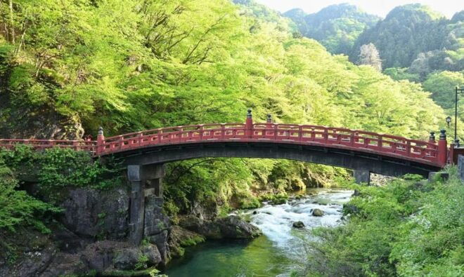 Day Tour Visit to Nikko Toshugo From Tokyo - Booking Information