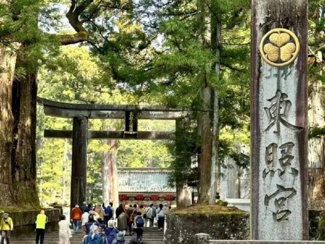 Day Tour Visit to Nikko Toshugo From Tokyo - Transportation Options