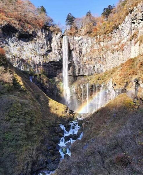 Day Tour Visit to Nikko Toshugo From Tokyo - What to Expect