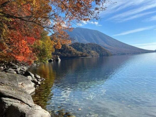 Day Tour Visit to Nikko Toshugo From Tokyo - Customer Feedback