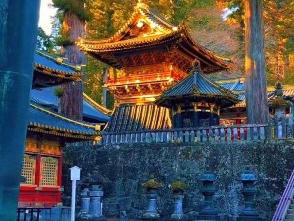 Day Tour Visit to Nikko Toshugo From Tokyo - Tips for Your Visit