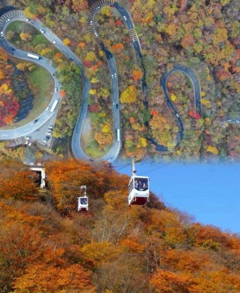 Day Tour Visit to Nikko Toshugo From Tokyo - Frequently Asked Questions