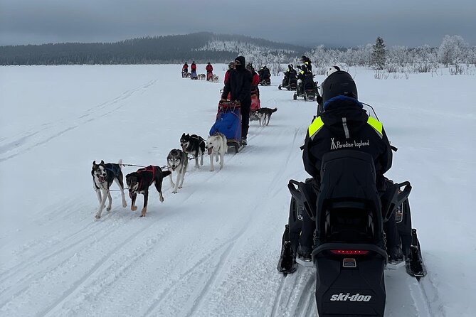 Day Tour With Snowmobile in Kiruna - The Sum Up