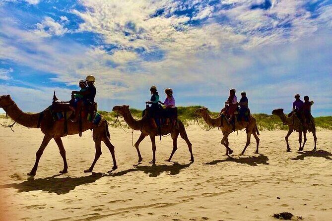 Day Tours Anna Bay and Nelson Bay Port Macquarie North Coast NSW - Good To Know