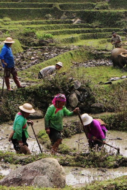 Day Trek Adventure With Local Guides - Guide Expertise and Reviews
