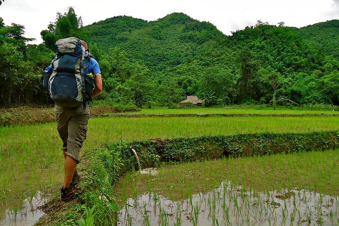 Day Trek to Kuangsi Waterfall and Bear Sanctuary - Luang Prabang Full Day Tour - Itinerary Highlights