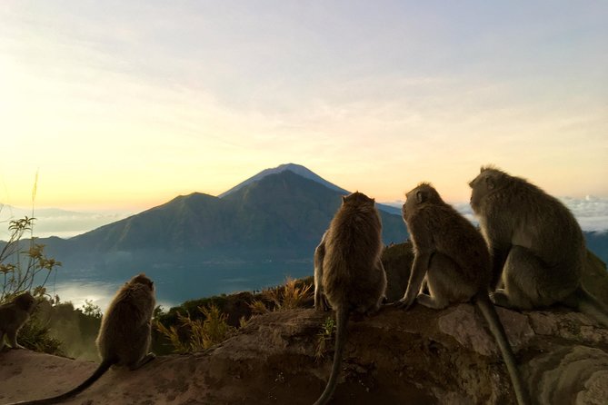 Day Trekking Mount Batur - Start From 06:00am - Pickup Points and Schedule