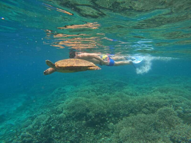 Day Trip 3 Secret Gilis in West South Of Lombok - FAQs