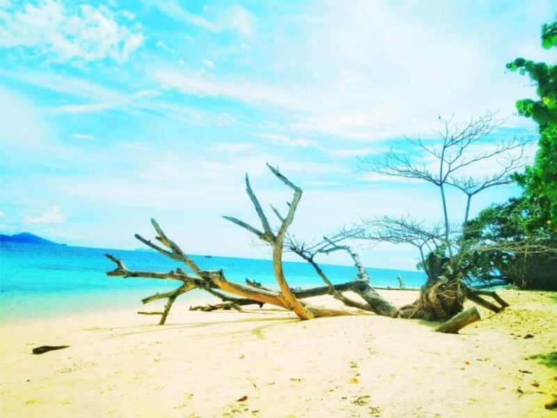 Day Trip 4 Islands & Koh Kradan Snorkeling By Longtail Boat - Authentic Insights from Past Travelers