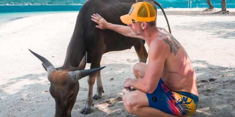 Day Trip 5 Secret Giilis in West South of Lombok - The Sum Up: Who Is This Tour Perfect For?