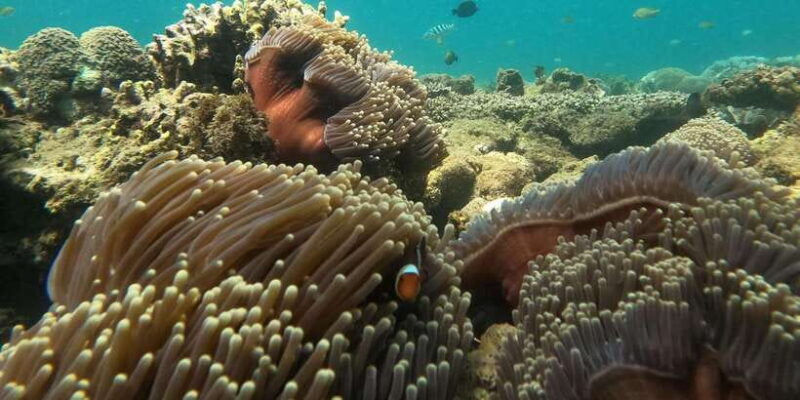 Day Trip 5 Secret Giilis in West South of Lombok - Exploring the Day Trip to 5 Secret Gili Islands in West South Lombok