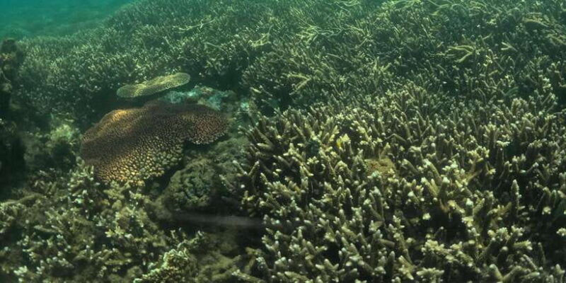 Day Trip 5 Secret Giilis in West South of Lombok - Transportation & Duration