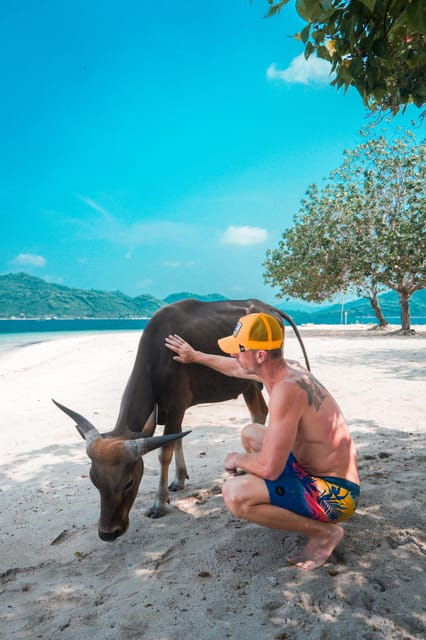 Day Trip 5 Secret Giilis in West South of Lombok - Snorkeling Adventures