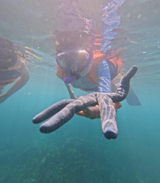 Day Trip 5 Secret Giilis in West South of Lombok - Secret Gili Destinations
