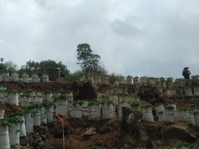 Day Trip Bogor Jakarta Waterfall All In - Tour Guide - Pickup and Drop-off