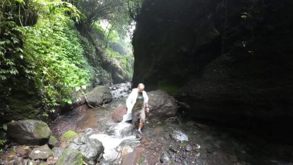 Day Trip Bogor Jakarta Waterfall All In - Tour Guide - Questions You May Have