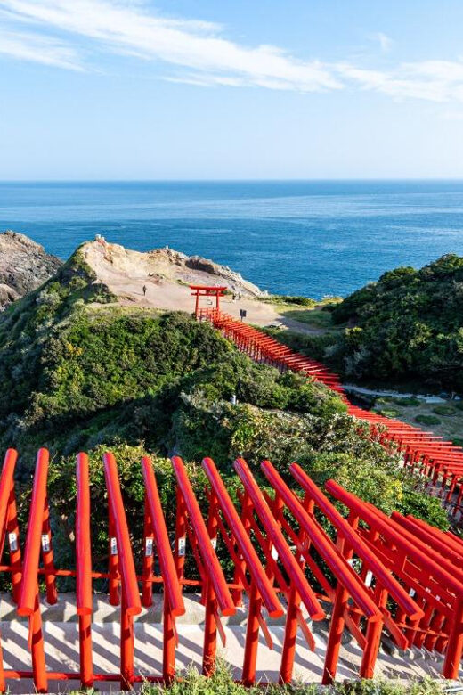 Day Trip Bus Tour from Fukuoka to Tunoshima, Yamaguchi - Final Thoughts