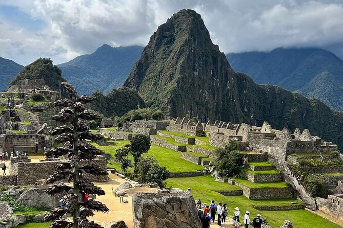 Day Trip by Train to Machu Picchu - Small Group - Offered in English