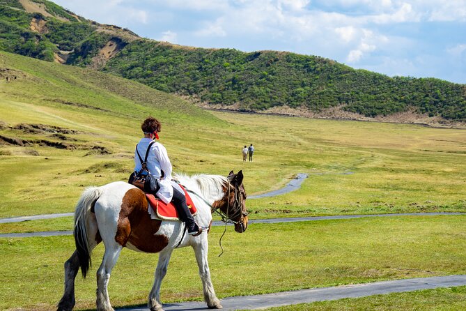 Day Trip Charter Bus Tour to Great Nature Mt.Aso From Fukuoka - Meals and Refreshments