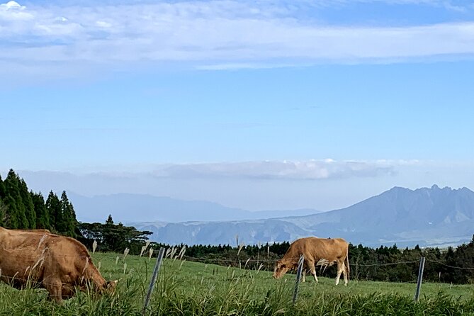 Day Trip Charter Bus Tour to Great Nature Mt.Aso From Fukuoka - Additional Activity Experiences