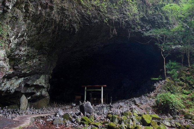 Day Trip Charter Bus Tour to Mythical "Takachiho" From Fukuoka - Group Size and Participation