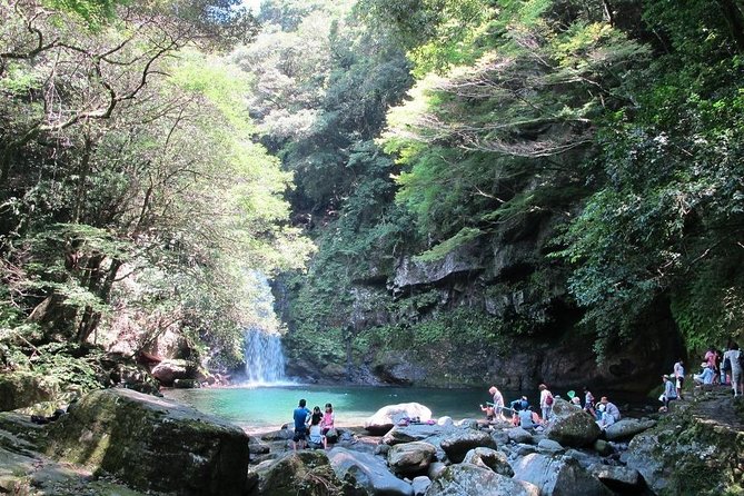 Day Trip Charter Bus Tour to Waterfall & Nagasaki From Fukuoka - Weather-related Cancellations and Changes