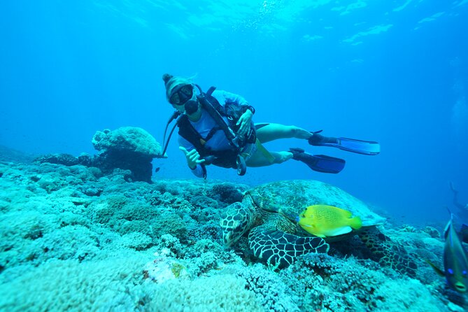 Day Trip Discover Scuba Dive in Nusa Penida 2 Dives (From Sanur - South Bali) - Booking and Confirmation Details