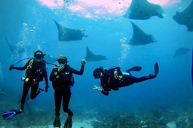 Day Trip Discover Scuba Dive in Nusa Penida 2 Dives (From Sanur - South Bali) - Participant Requirements and Restrictions