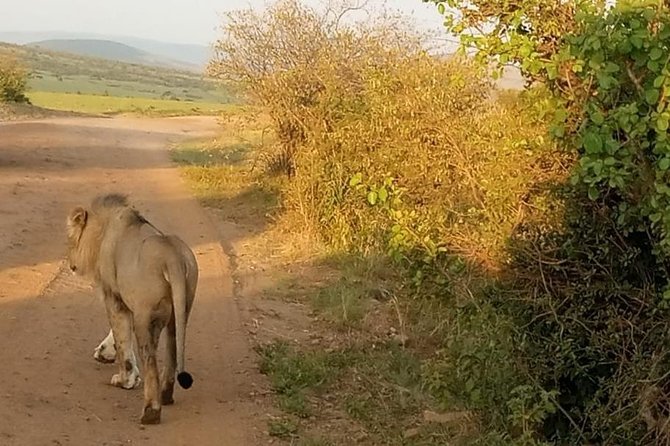 Day Trip Excursion Nairobi. - Operator Details
