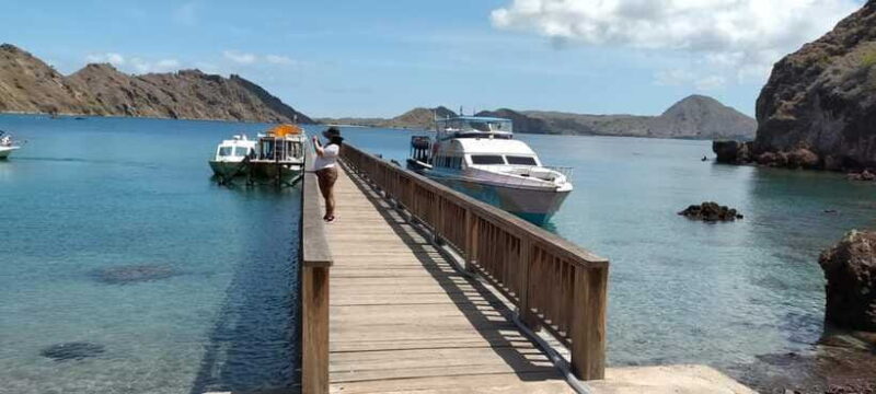 Day Trip Explore Komodo National Park by Private Speed Boat - Timing and Flexibility