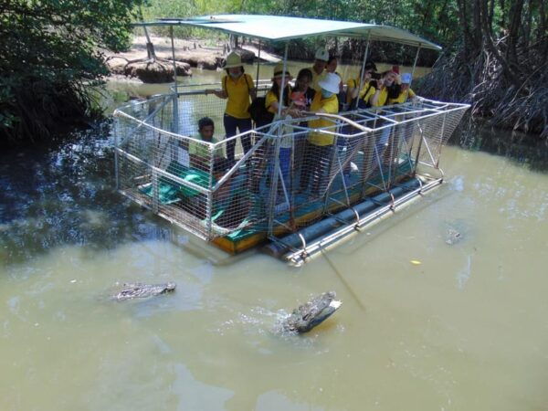 Day Trip: Explore the Can Gio Biosphere Reserve - How to Book