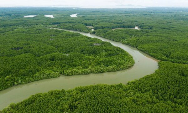 Day Trip: Explore the Can Gio Biosphere Reserve - Frequently Asked Questions