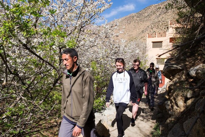Day Trip Exploring the Atlas Mountains - What to Expect