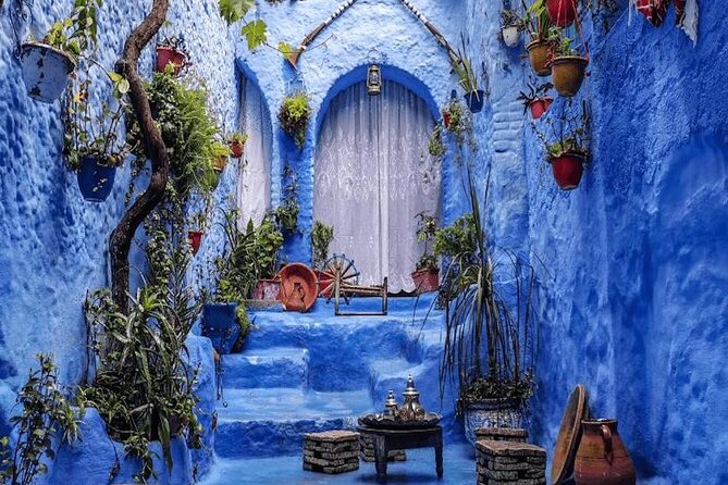 Day Trip Fes to Chefchaouen - Itinerary Highlights