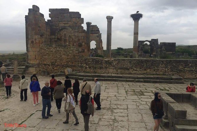 Day Trip Fes to Volubilis and Meknes - Itinerary for the Day Excursion