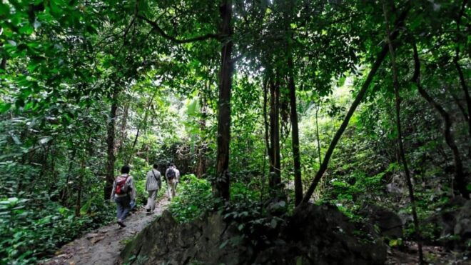 Day Trip for a Group to Cuc Phuong National Park - Exclusions