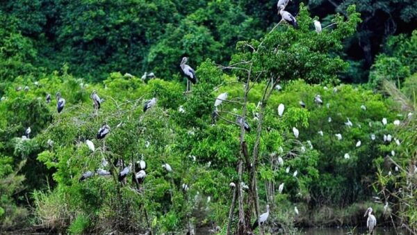 Day Trip for a Group to Cuc Phuong National Park - What to Bring