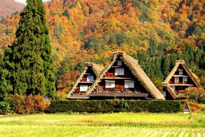 Day Trip for Shirakawago ,Takayama & Gujo Hachiman From Nagoya - Trip Details and Inclusions