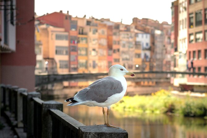 Day Trip From Barcelona Girona & Costa Brava Top Beach Group Tour - Directions