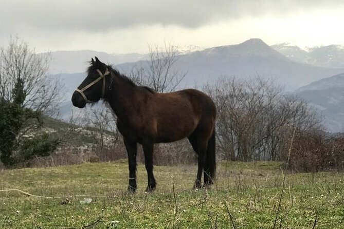 Day Trip From Berat to Sotira Waterfall - Hiking 4x4 Tour - Additional Tour Information