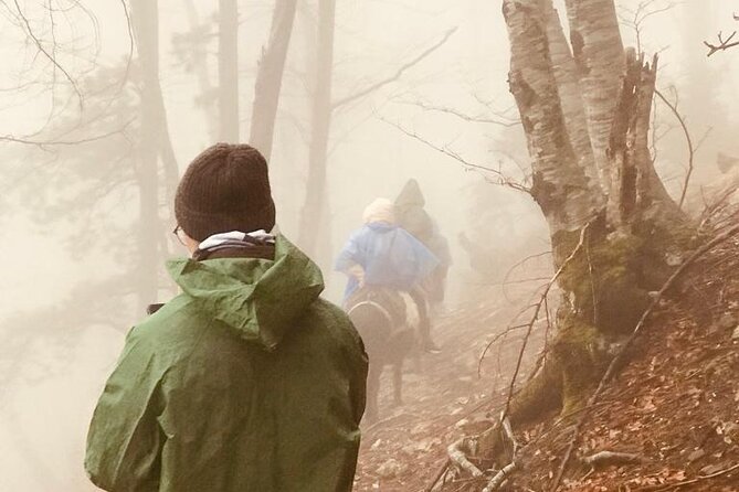 Day Trip From Berat to Sotira Waterfall - Hiking 4x4 Tour - Directions and Tips