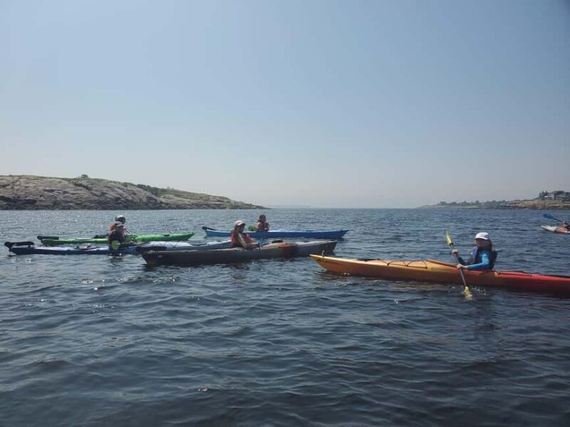 Day Trip From Boston: Kayak Tour through Gloucester Harbor - Good To Know  