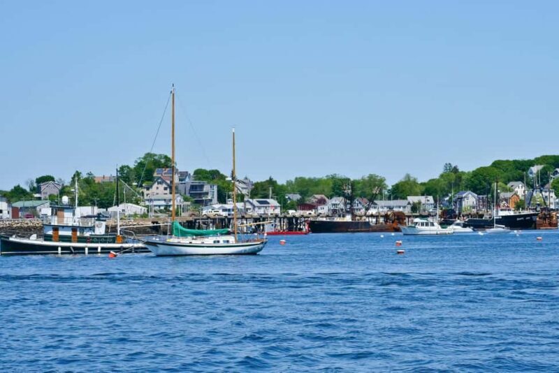 Day Trip From Boston: Kayak Tour through Gloucester Harbor - What’s Included and What to Bring