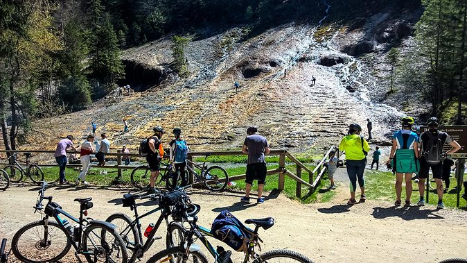 Day Trip From Brasov: Bison Reserve & Traditional Lunch - What To Expect