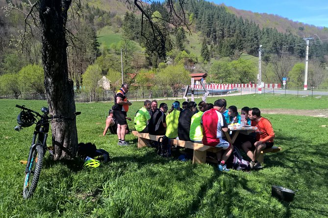 Day Trip From Brasov: Bison Reserve & Traditional Lunch - Cancellation Policy