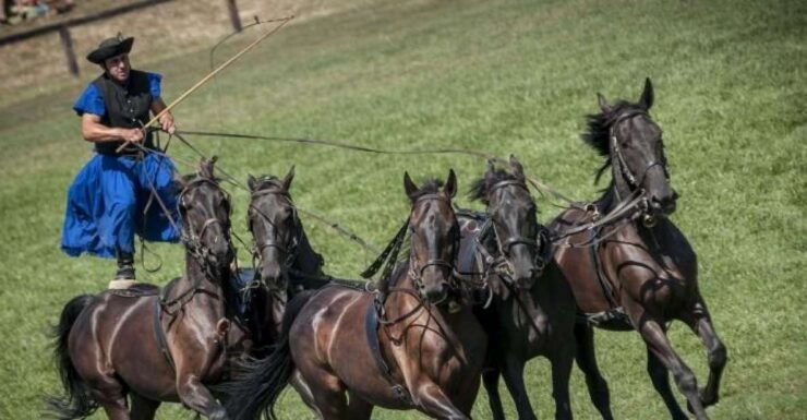 Day Trip From Budapest: Puszta Horse Show and Countryside - Booking Details