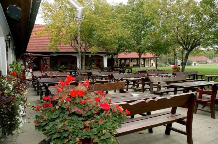 Day Trip From Budapest: Puszta Horse Show and Countryside - Experience Highlights
