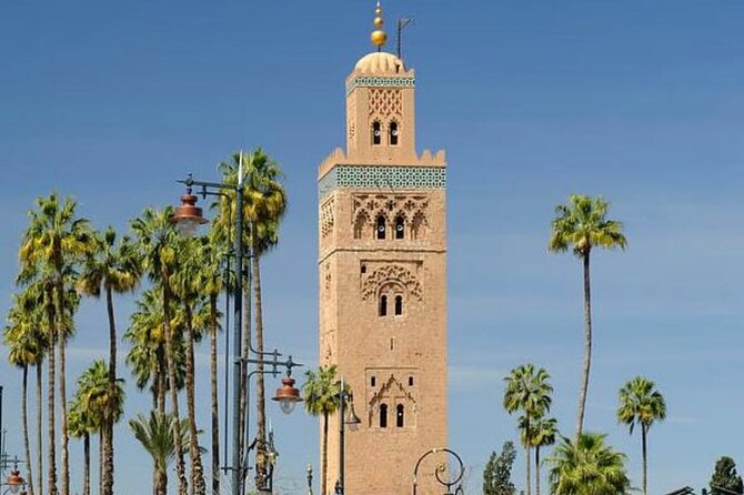 Day Trip From Casablanca to Marrakech, Guided Tour and Camel Ride - The Sum Up